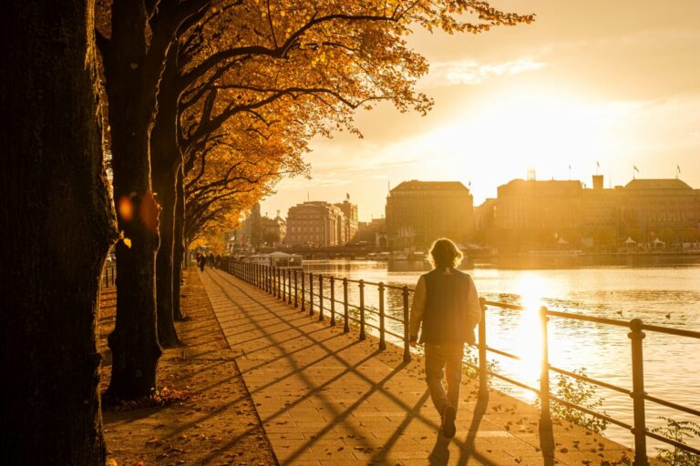 Alstersonne