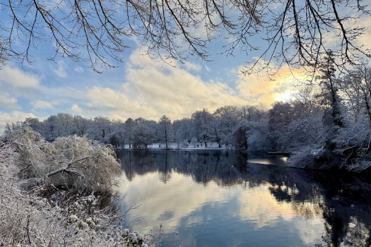 hamburg-nord-small-header